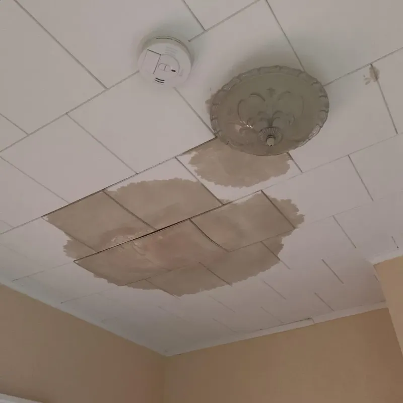 Ceiling Water Damage Repair in Caryville, TN