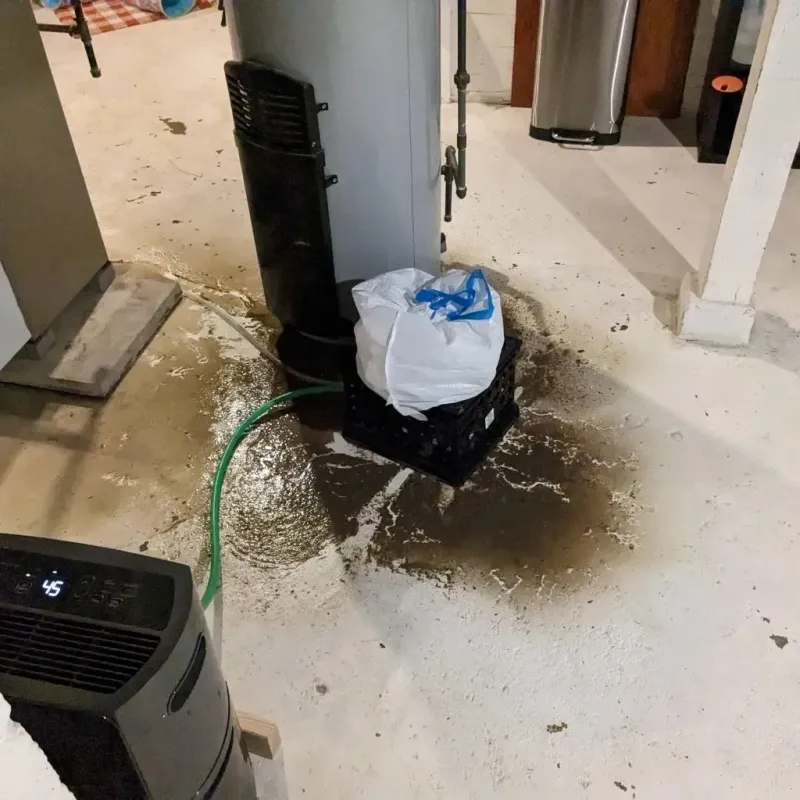 Sewage Backup Cleanup Service in Caryville, TN